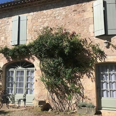 Domaine De La Durantie Duplex Vieux Chateau Castelnau-de-Montmiral Εξωτερικό φωτογραφία