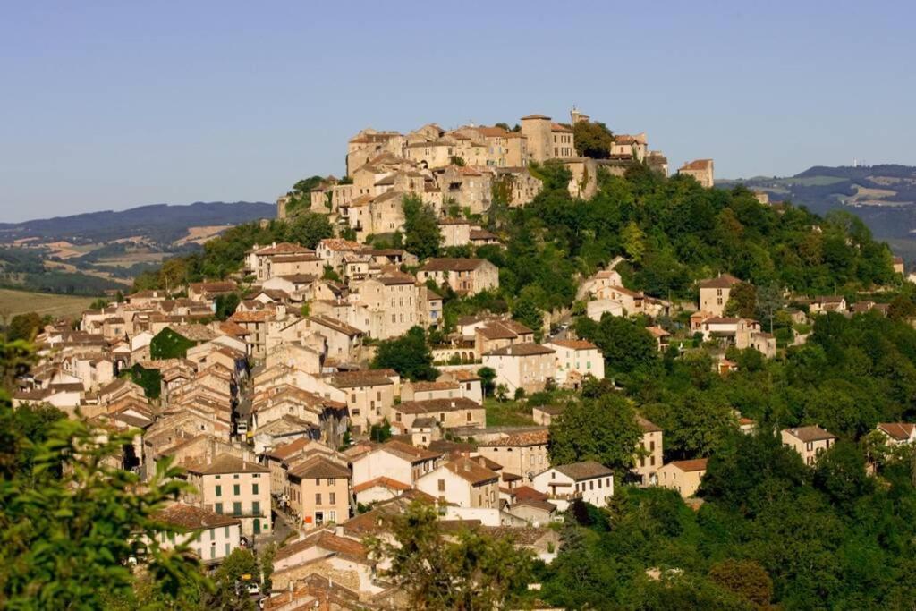 Domaine De La Durantie Duplex Vieux Chateau Castelnau-de-Montmiral Εξωτερικό φωτογραφία