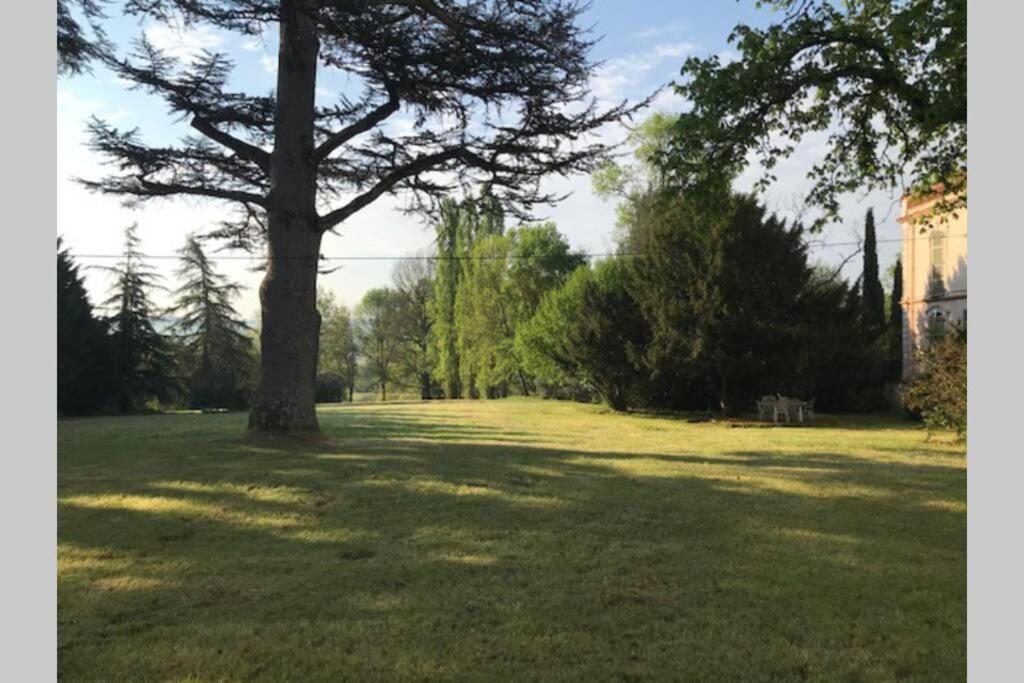 Domaine De La Durantie Duplex Vieux Chateau Castelnau-de-Montmiral Εξωτερικό φωτογραφία