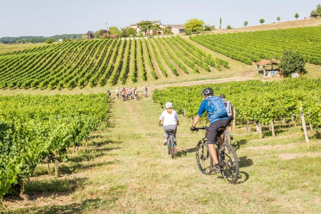 Domaine De La Durantie Duplex Vieux Chateau Castelnau-de-Montmiral Εξωτερικό φωτογραφία