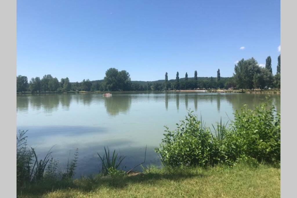 Domaine De La Durantie Duplex Vieux Chateau Castelnau-de-Montmiral Εξωτερικό φωτογραφία